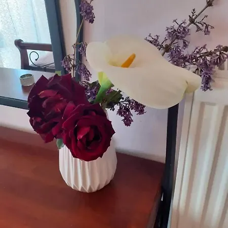 Old Apartment *
